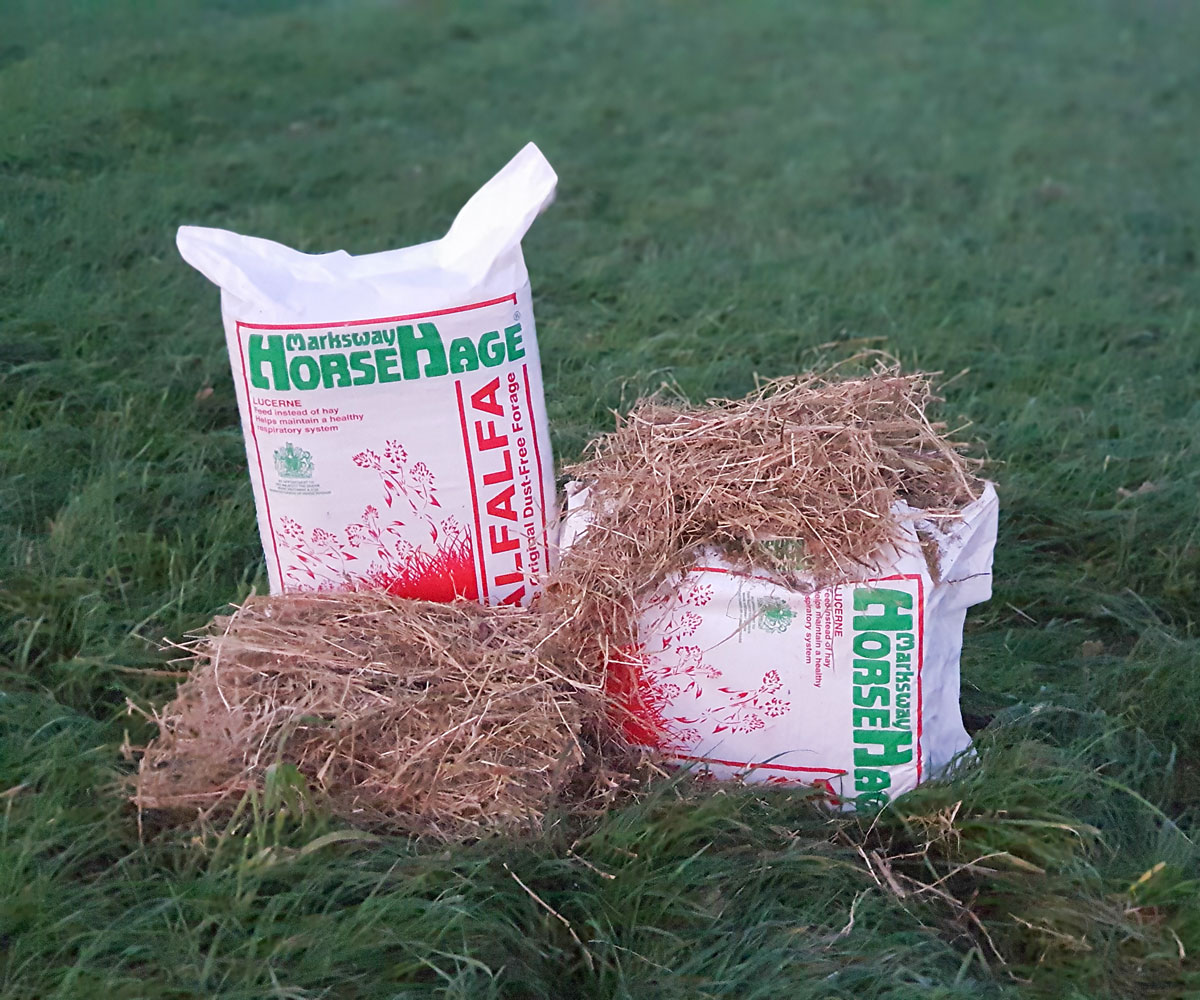 HorseHage Alfalfa Produktbild