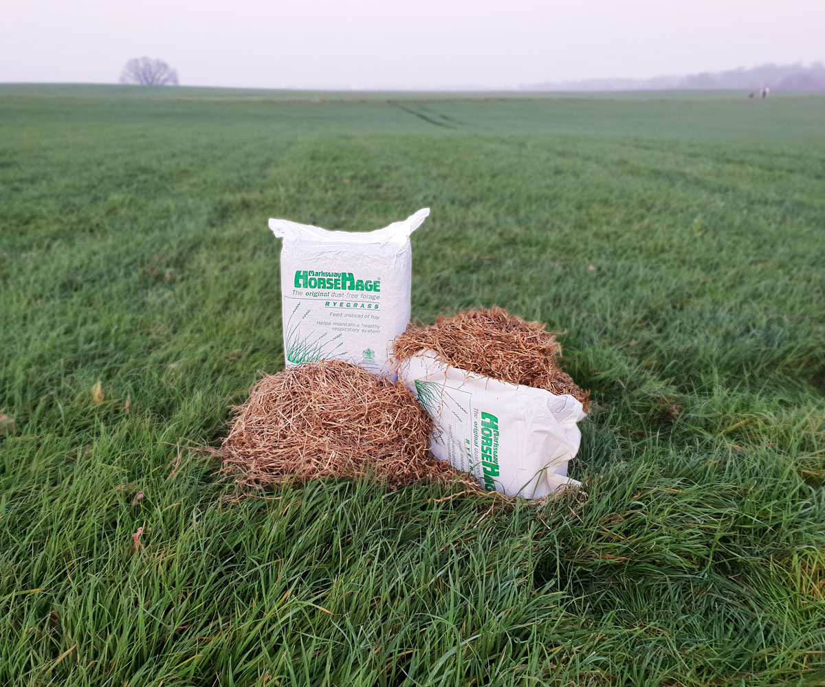 HorseHage Ryegrass Produktbild